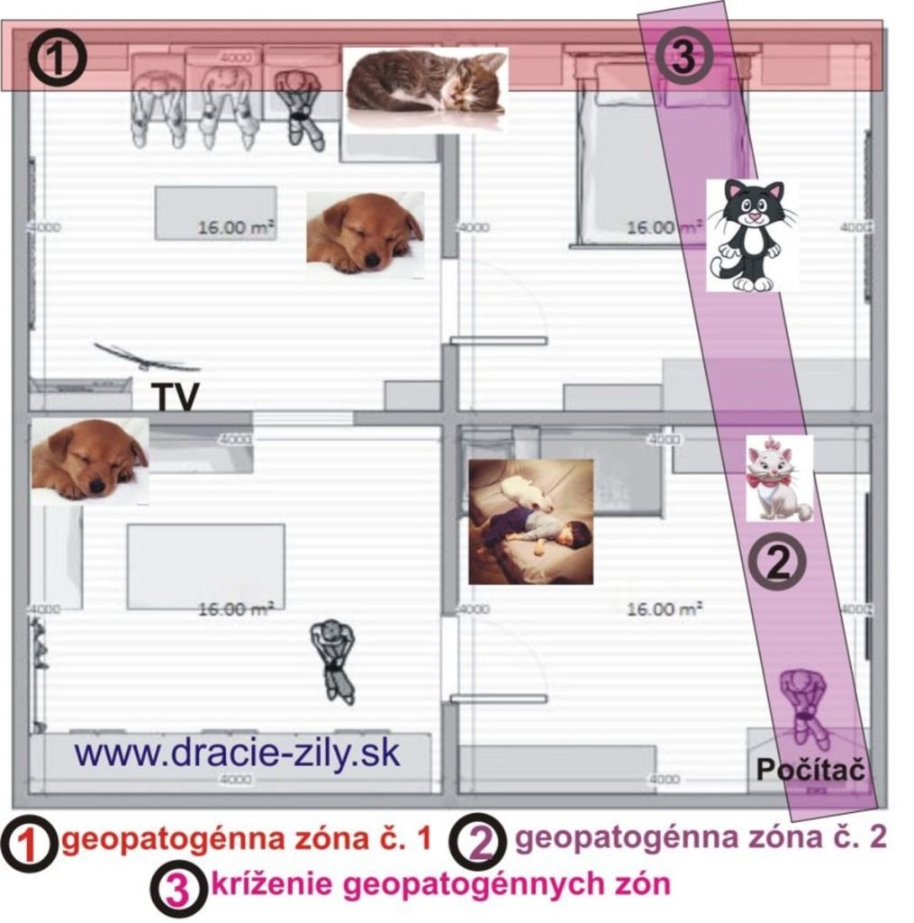 Ilustračné obrázky pôsobenia geopatogénnych zón v obydlí. Pričom je jedno čo bývate na prízemí alebo 15-tom (X-tom) poschodí. Vo vertikálnej rovine je to rovnaké. 