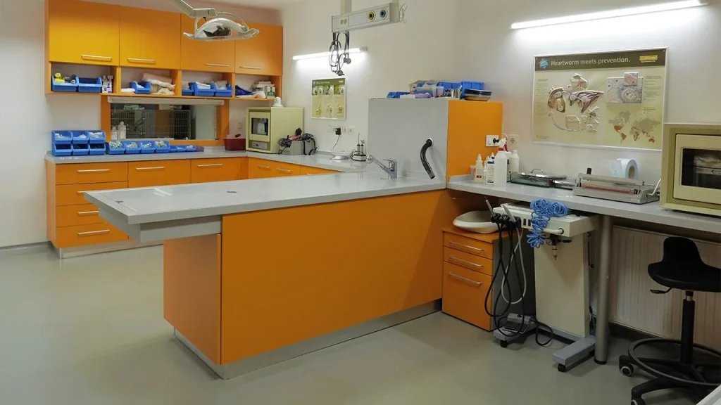 Kerrock v praxi - použitie, údržba a cena